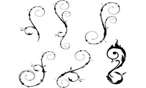 Vector flowers silhouettes